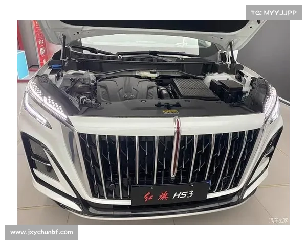 全新红旗L系亮相，1+2座椅布局，将重启“向日葵”车标